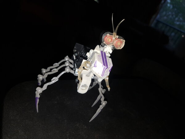 20230718_205408.jpg
