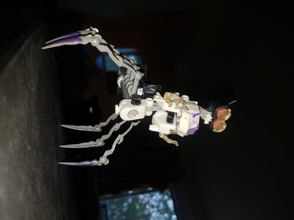 20230718_205000.jpg