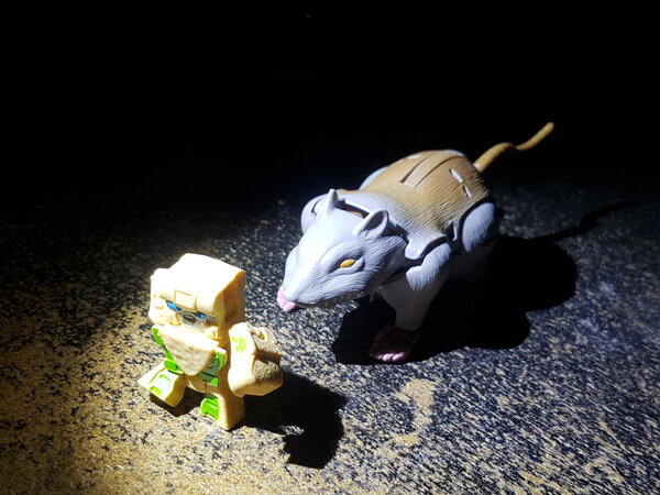 20230816_181732.jpg