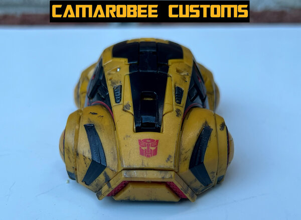 WFC Bee alt front.jpg