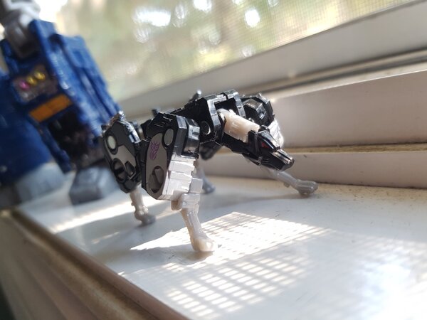 Soundwave Window (3).jpg