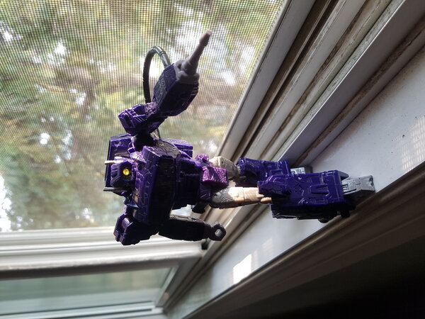 Shockwave Window (1).jpg