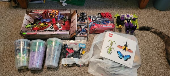 20230917_125203.jpg