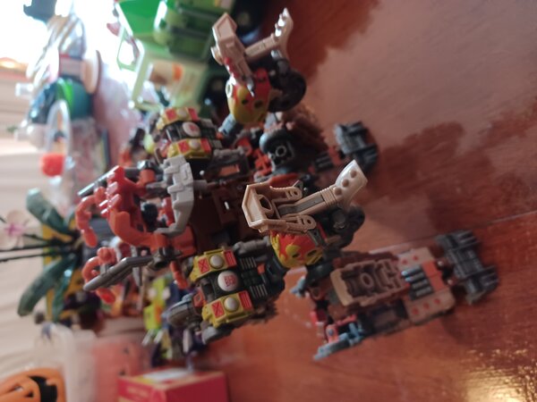 20230925_125145.jpg