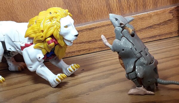 Kitty Pounce Lio Convoy.jpg