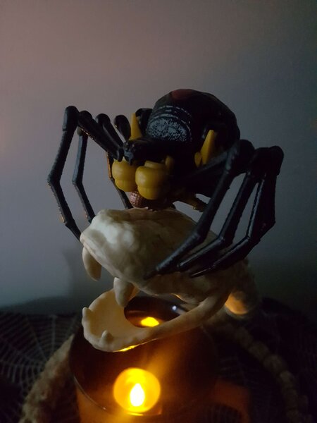 WFCK Blackarachnia Halloween (2).jpg