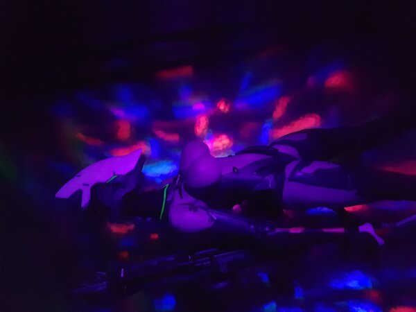 20231128_235040.jpg