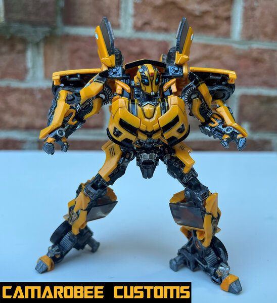 ROTF Bee bot pose 2.jpg