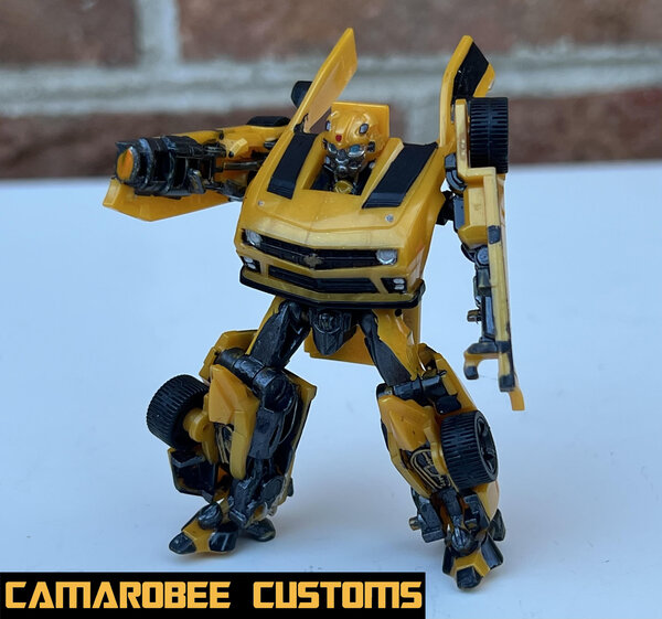 DOTM Bee bot 2.jpg