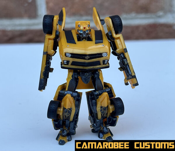 DOTM Bee bot 1.jpg