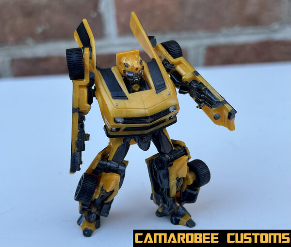 DOTM Bee bot 3.jpg