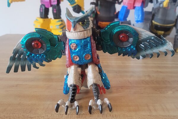 20240928_125859.jpg