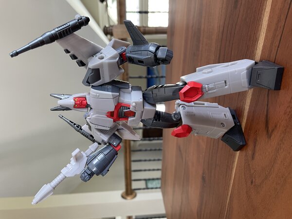 IMG_9103.jpeg