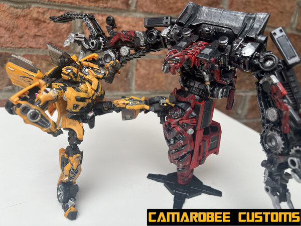 RATR Bee bot vs Rampage.jpg