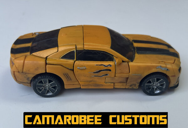 RATR Bee alt R.jpg
