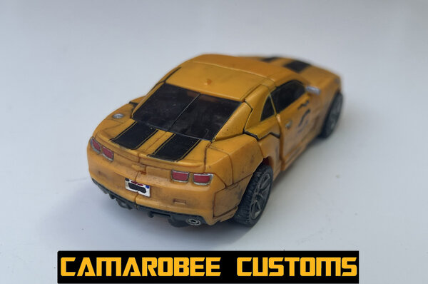 RATR Bee alt back R.jpg