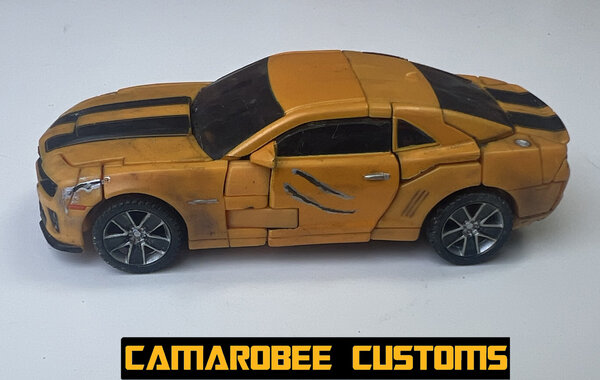 RATR Bee alt L.jpg