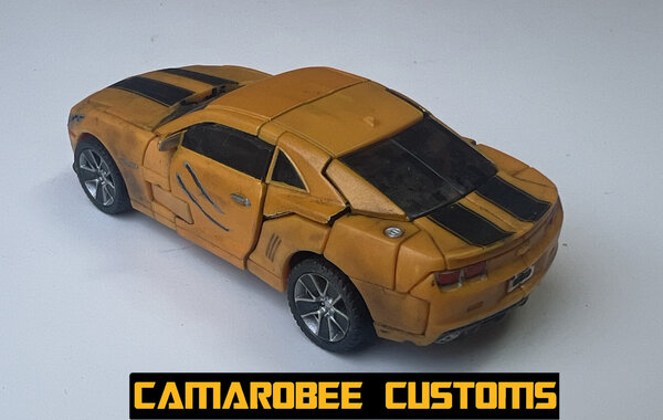 RATR Bee alt back L.jpg