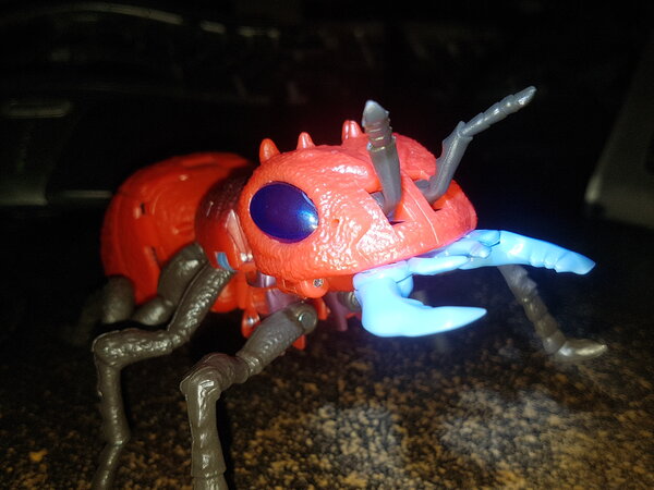 20250107_201219.jpg