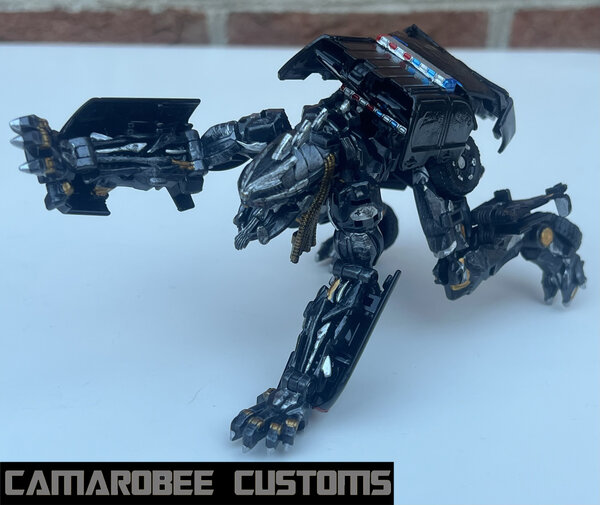 Hatchet bot reach.jpg