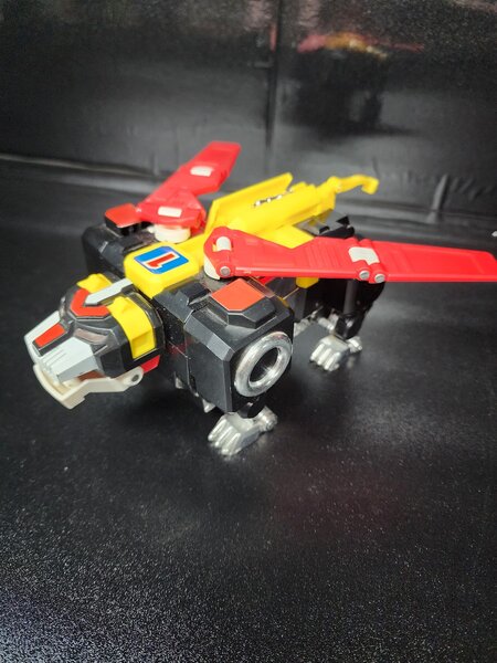 20250112_083658.jpg