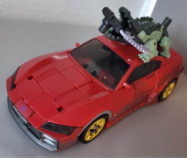 Krokout transform.jpg