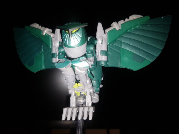 20250609_211801.jpg