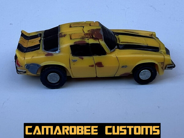 77 Bee alt R.jpg
