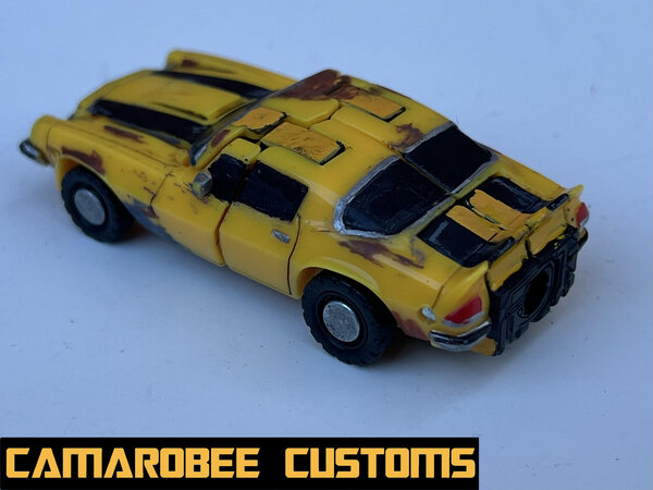 77 Bee alt L back.jpg