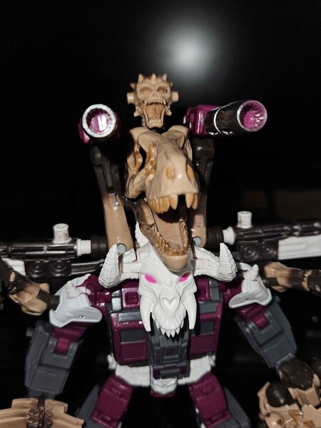 skullgrin paleotrex 2.jpg