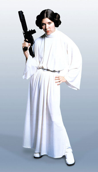leia-princess-leia-organa-solo-skywalker-9301321-576-1010.jpg