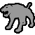 Wild Cat