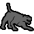 Wild Cat