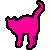 House Cat
