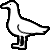 Sea Bird