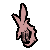 Locust