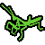Praying Mantis