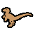 Velociraptor
