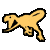 Raptor