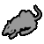 Rat