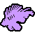 Tropical Fish