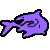 Sea Dragon