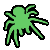Funnel Web Spider