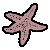 Starfish