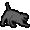 Wild Cat