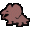 Iguana
