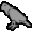 Parrot