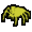 Insect