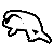 Right Whale