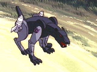 Ravage finds his litter box